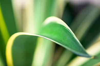 2016版《瑞奇与叮当》赠礼 预购奖励如今免费下载